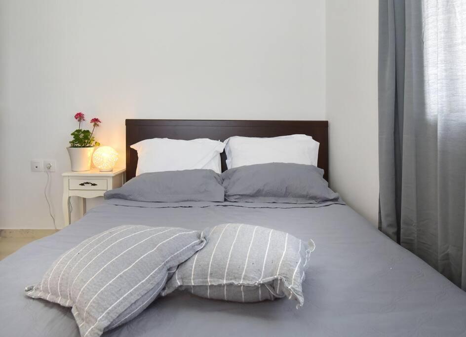 Cozy Bright Studio 雅典 外观 照片
